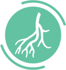 Vascular services icon