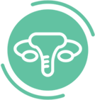 Obstetrics and Gynaecology services icon